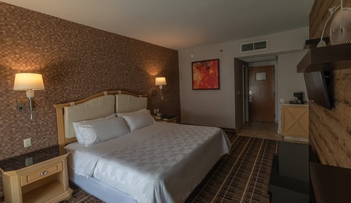 Standard Room, 1 King Bed, Accessible Bathtub