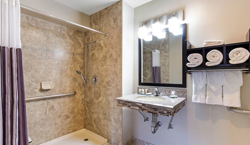 Standard Room, 1 Double Bed, Accessible, Refrigerator & Microwave