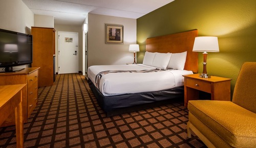 Standard Room, 1 King Bed, Non Smoking, Refrigerator & Microwave