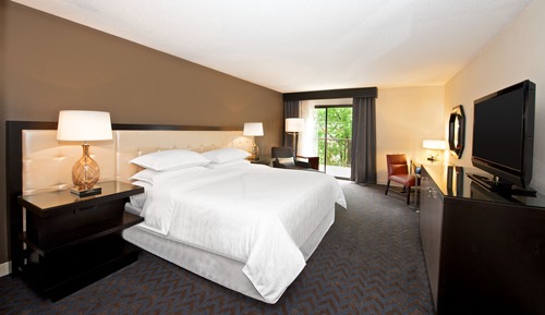 Room, 1 King Bed (Mobility/Hearing Accessible, Tub)