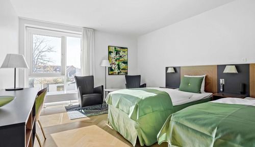 Business Room, 2 Twin Beds, Non Smoking