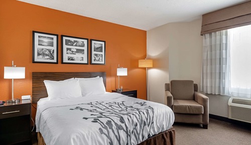 Room, 1 Queen Bed, Accessible, Non Smoking