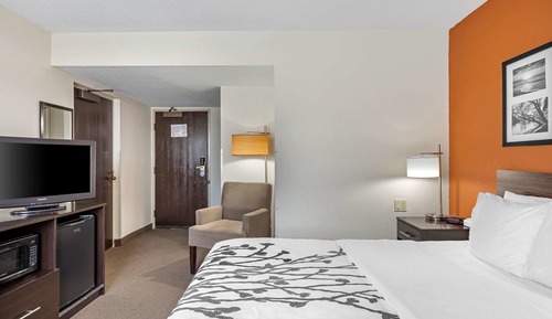 Standard Room, 1 King Bed, Non Smoking