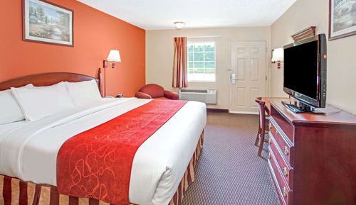 Room, 1 Queen Bed, Accessible, Non Smoking (Mobility, Bathtub with Grab Bars)