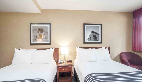 Standard Room, 2 Double Beds