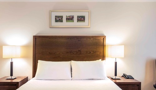 Privilege, Room, 1 Double Bed