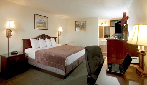 Standard Room, 1 King Bed, Non Smoking, Refrigerator & Microwave