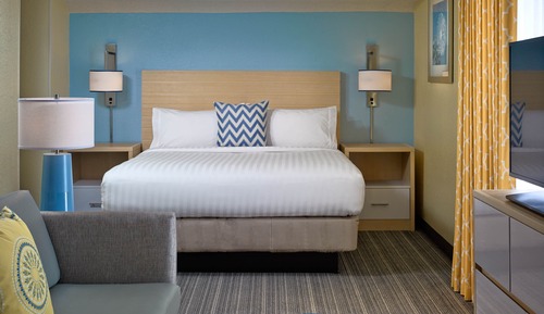 Studio Suite, 1 Queen Bed (Roll-In Shower)