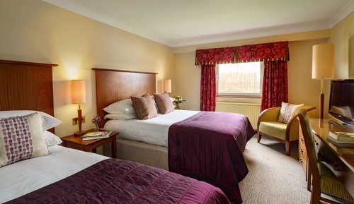 Family Room, Multiple Beds (Standard Family Room 3)