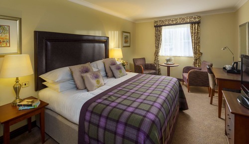 Standard Room, 1 Double Bed