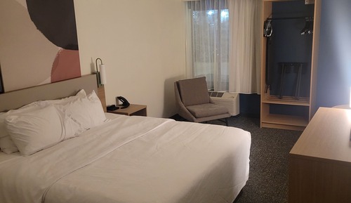 Room, 1 King Bed