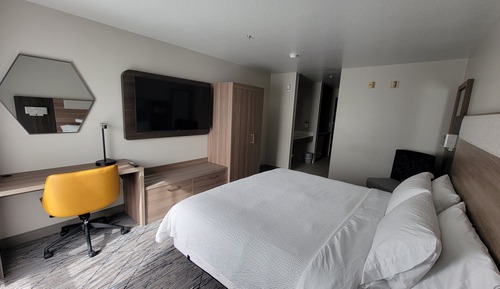 Room, 1 King Bed, Roll-in Shower (Communications, Mobility)