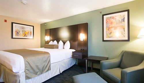 Room, 1 King Bed, Accessible, Non Smoking (Mobility, Tub w/ Grab Bars)