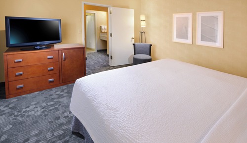 Suite, 1 King Bed with Sofa bed