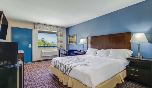 Room, 1 King Bed, Accessible, Non Smoking