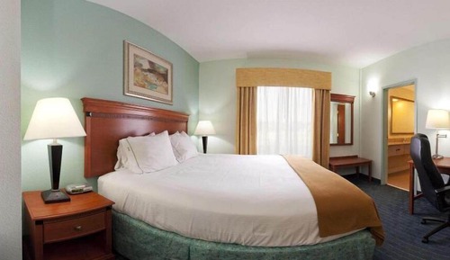 Suite, 1 King Bed with Sofa bed