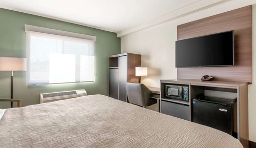 Standard Room, 1 King Bed, Non Smoking