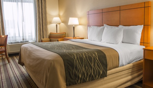 Room, 1 King Bed, Non Smoking (Upgrade)