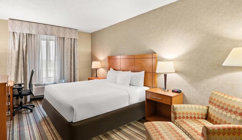 Standard Room, 1 King Bed, Non Smoking