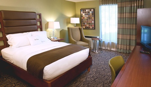 Room, 1 King Bed, Accessible, Non Smoking