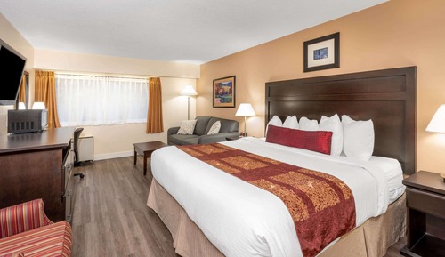 Room, 1 King Bed, Non Smoking
