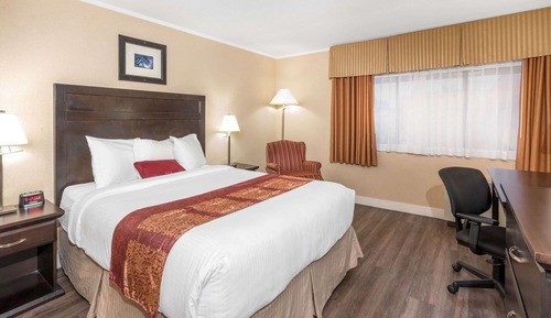 Room, 1 Queen Bed, Non Smoking