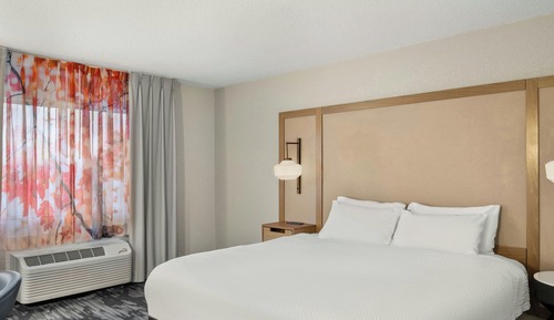 Suite, 1 King Bed with Sofa bed
