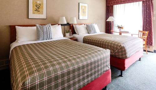 Standard Double Room, 2 Double Beds