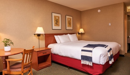 Standard Room, 1 King Bed