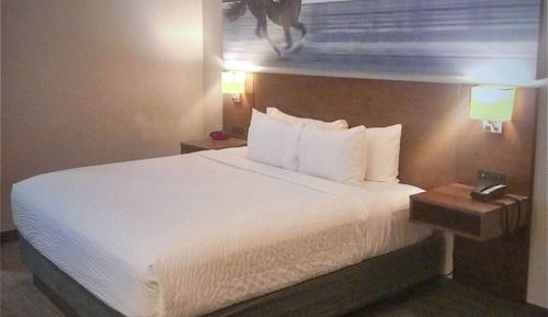 Room, 1 King Bed, Accessible, Non Smoking
