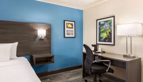 Room, 1 King Bed, Non Smoking