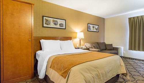 Comfort Room, 1 Queen Bed with Sofa bed, Ground Floor
