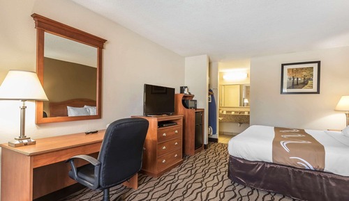 Room, 1 King Bed, Smoking