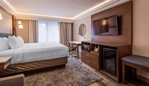 Standard Room, 1 King Bed, Non Smoking, Refrigerator & Microwave (with Sofabed)