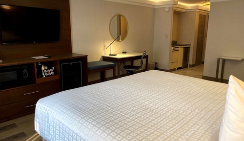 Suite, 1 King Bed, Non Smoking, Kitchenette (with Sofabed)