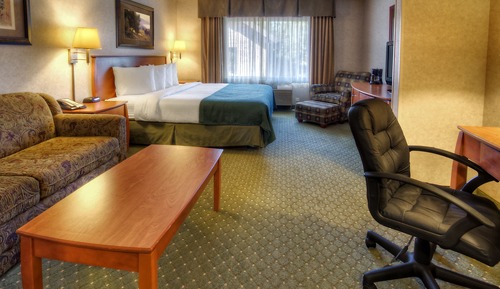 Suite, 1 King Bed with Sofa bed, Non Smoking