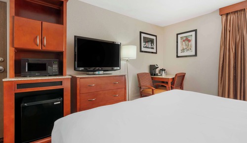 Standard Room, 1 King Bed, Non Smoking, Refrigerator & Microwave