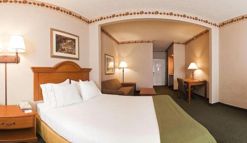 Suite, 1 King Bed with Sofa bed