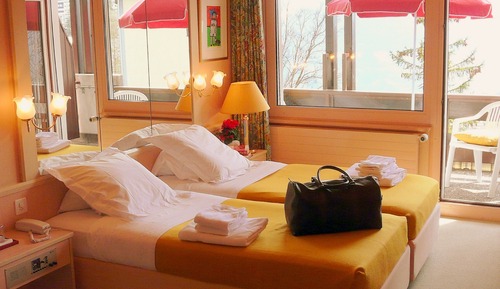 Double Room Single Use, Balcony, Mountain View