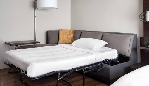 Room, 1 King Bed with Sofa bed