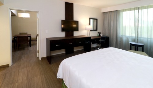 Suite, 1 King Bed (Living)