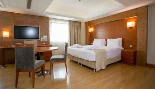 Suite, 1 Bedroom (Additional Living Area)