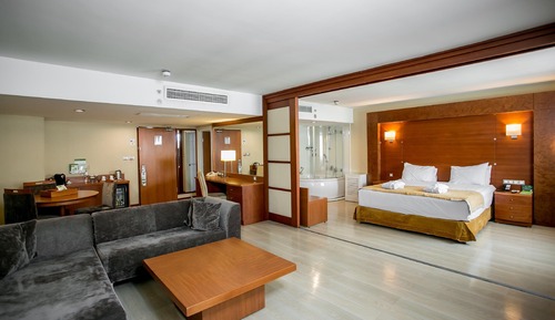 Suite, 1 Queen Bed (Additional Living Area)