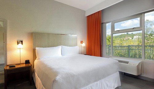 Suite, 1 King Bed with Sofa bed