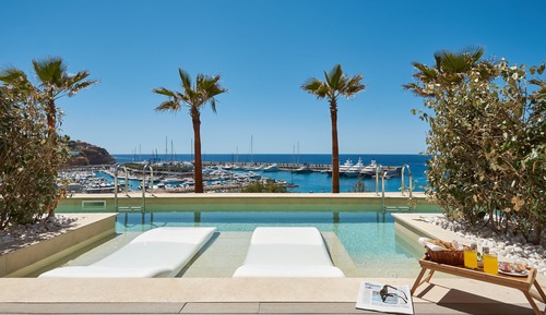 Superior Double Room, Private Pool, Sea View (swim up)
