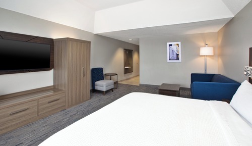 Suite, 1 King Bed with Sofa bed