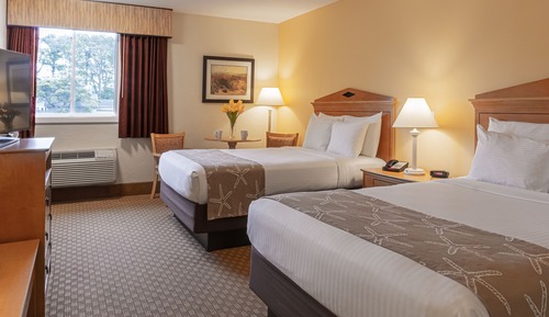 Standard Double Room, 2 Double Beds