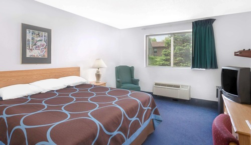 Room, 1 King Bed, Accessible, Non Smoking (Pet Friendly, Tub with Grab Bars)
