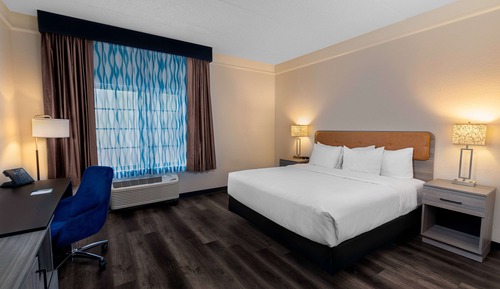 Room, 1 King Bed, Accessible, Non Smoking (Mobility/Hearing/Tub w/Grab Bars)