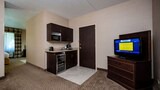 Deluxe Suite, 1 King Bed, Non Smoking (One-Bedroom)